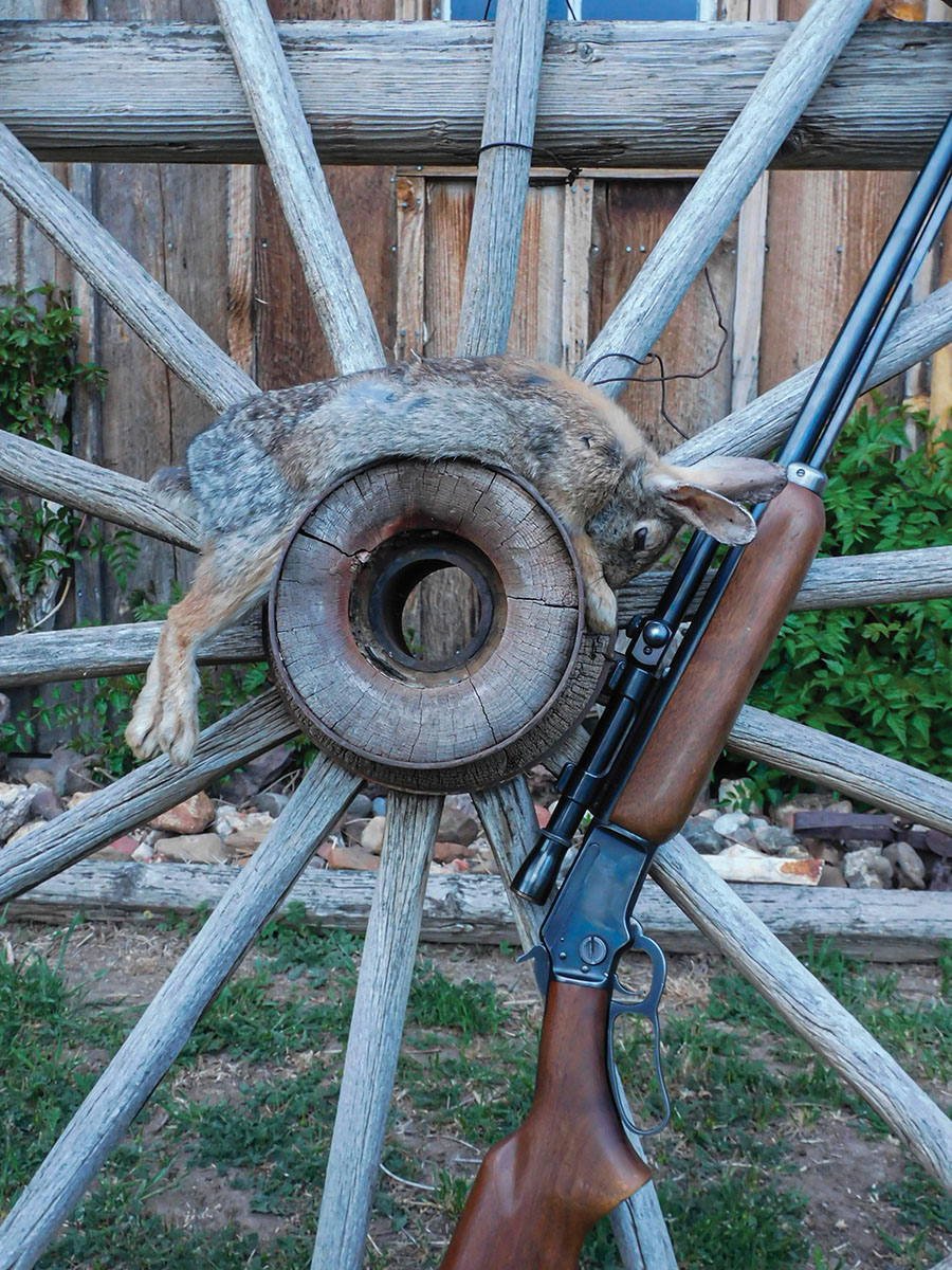 No telling how many rabbits this old Marlin has spoken to.